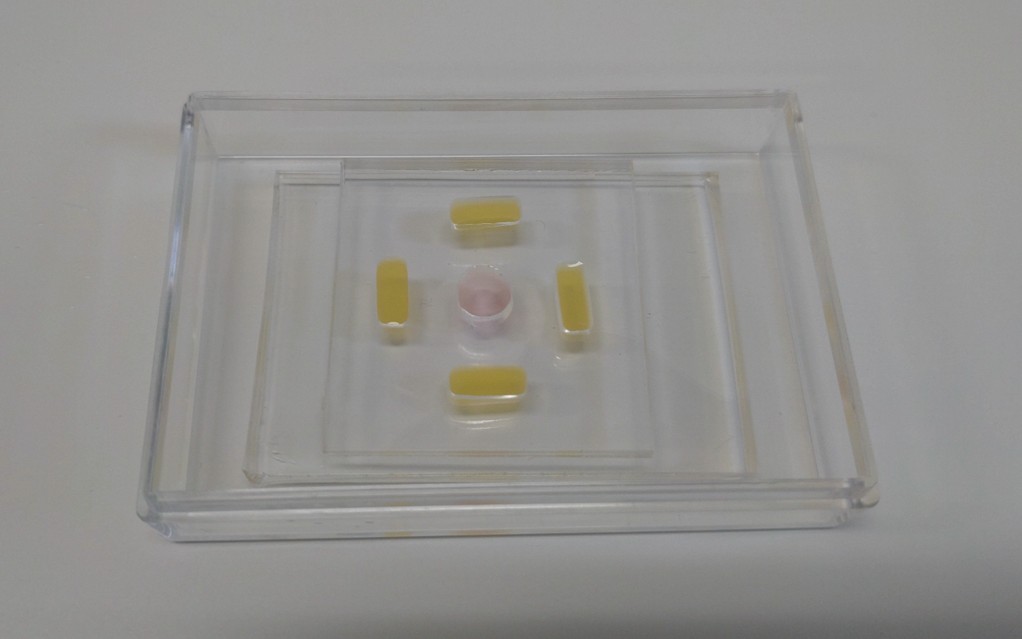 左:集積の様子